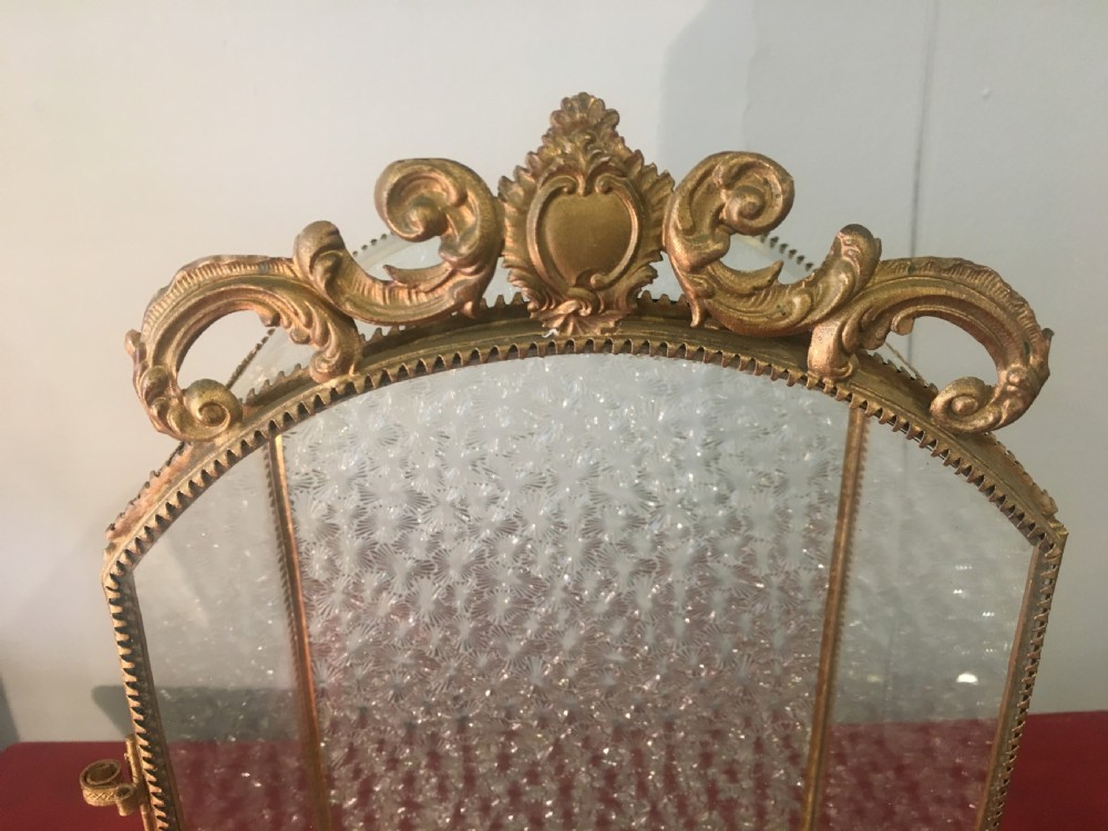 Original French Display Case C19th View IV