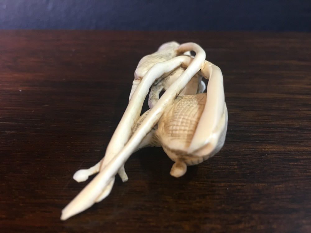 Meiji Period Ivory Netsuke of Toad Pushing a Snail on Lotus Leaf C19th View III