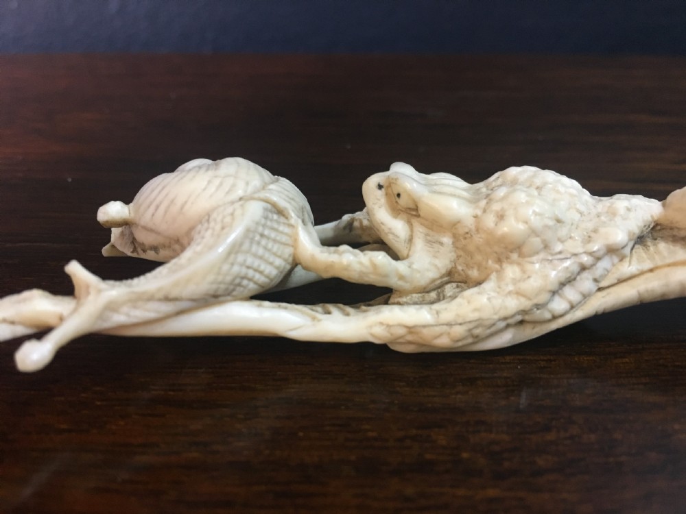 Meiji Period Ivory Netsuke of Toad Pushing a Snail on Lotus Leaf C19th View IV