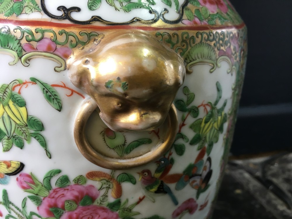 Cantonese Vase Cartouched Scenes of ladies in Interior & Flower & Bird | Mask Ring Ears C19th View VI