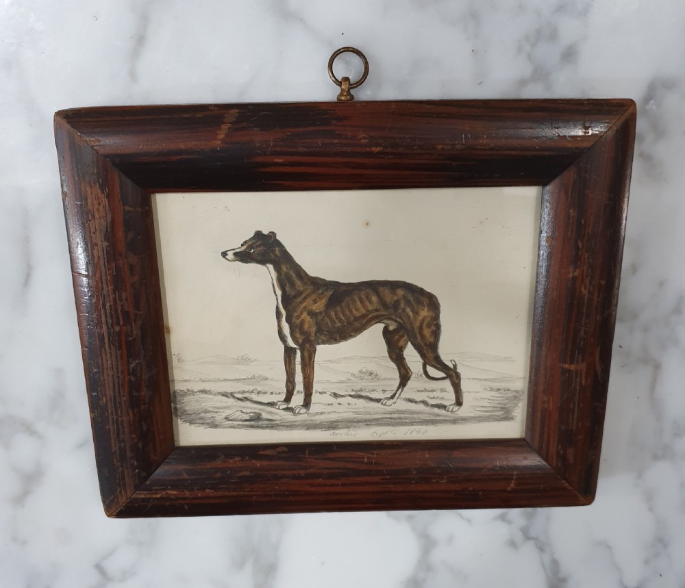 Watercolour of Greyhound 1840 Signed by Artist, Mounted in Frame Hanging Loop