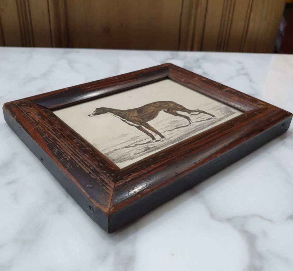 Watercolour of Greyhound 1840 Signed by Artist, Mounted in Frame Hanging Loop View IV