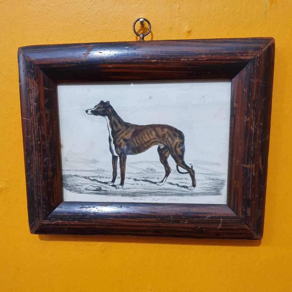 Watercolour of Greyhound 1840 Signed by Artist, Mounted in Frame Hanging Loop View V