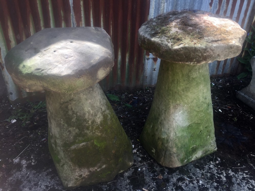 Staddle stones, pair, very large 80cm, 19th century 