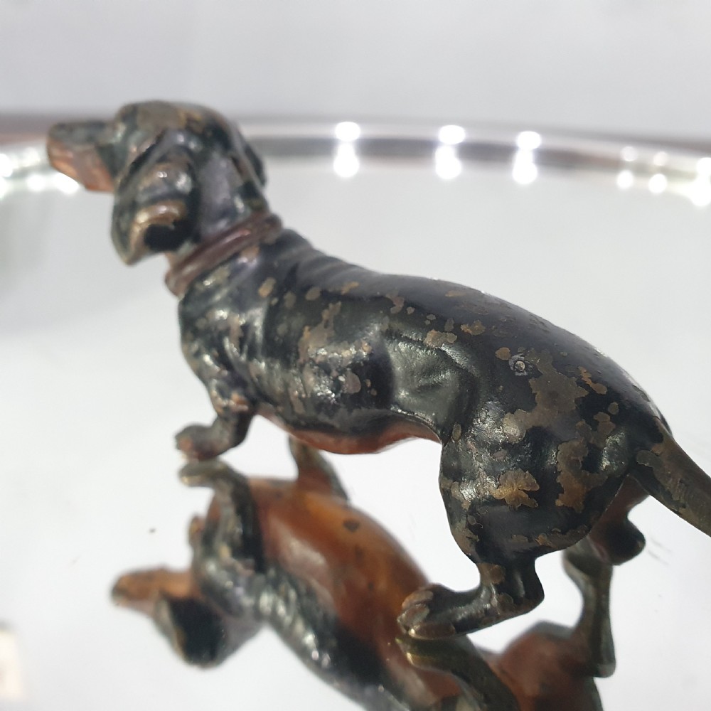 Austrian Cold Painted Bronze Dachshund c.1910 View VI