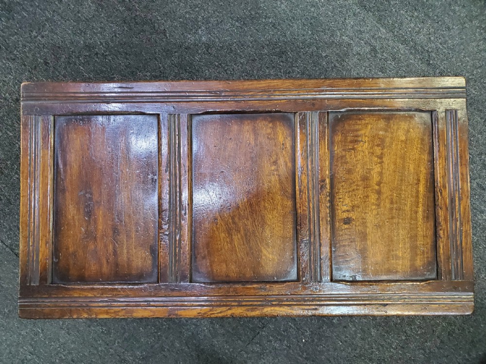 Small Oak 3 Panelled Coffer 19th Century View IV