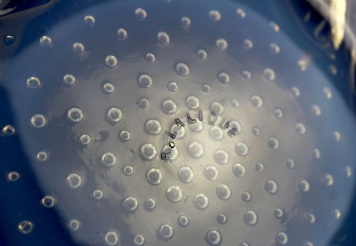 REN LALIQUE 'POISSONS NO 1' PLATE - ADDITIONAL PHOTO 6