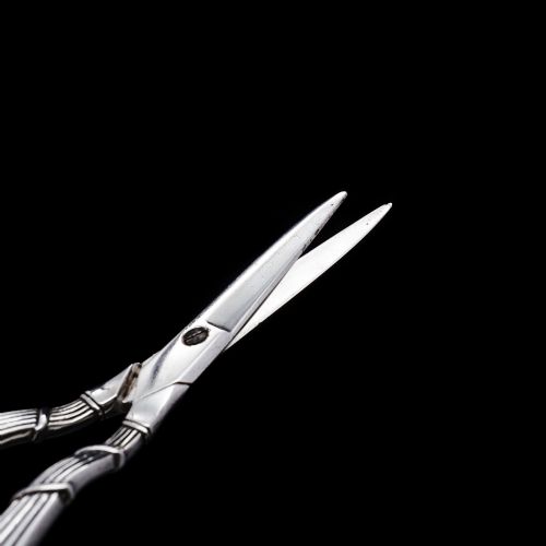 fig 4. Georgian Solid Silver Grape Scissors - William Eley & William Fearn 1816