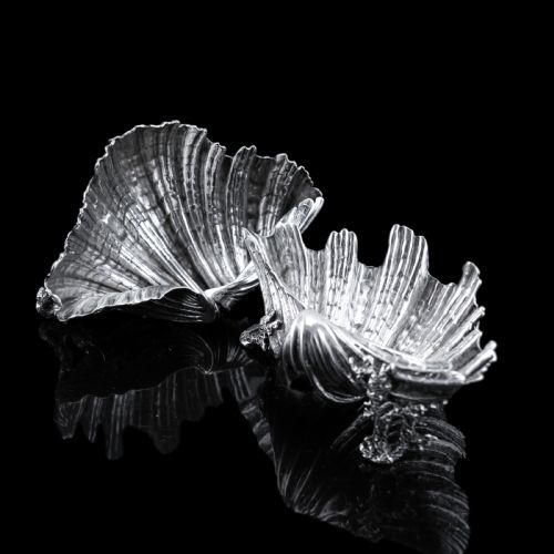 fig 5. Antique Victorian Solid Silver Salt/Butter Dish Pair, Cast Shell Giant Clam Design - Stephen Smith 1866