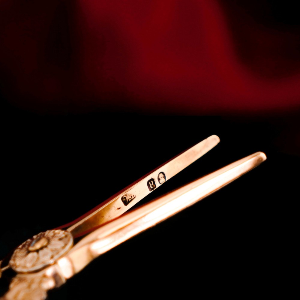 A pair of Georgian solid silver gilt grape shears featuring cast grapevine handle motifs. View XVIII