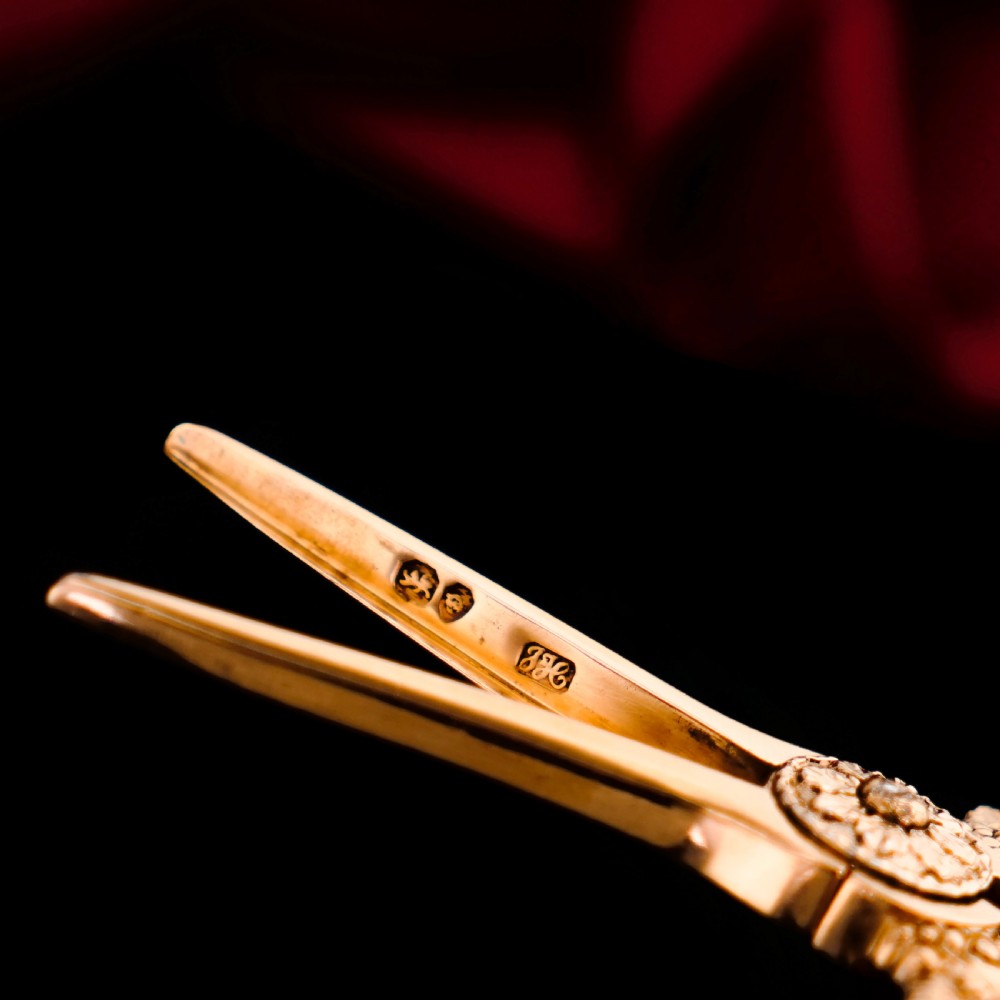 A pair of Georgian solid silver gilt grape shears featuring cast grapevine handle motifs. View XXI