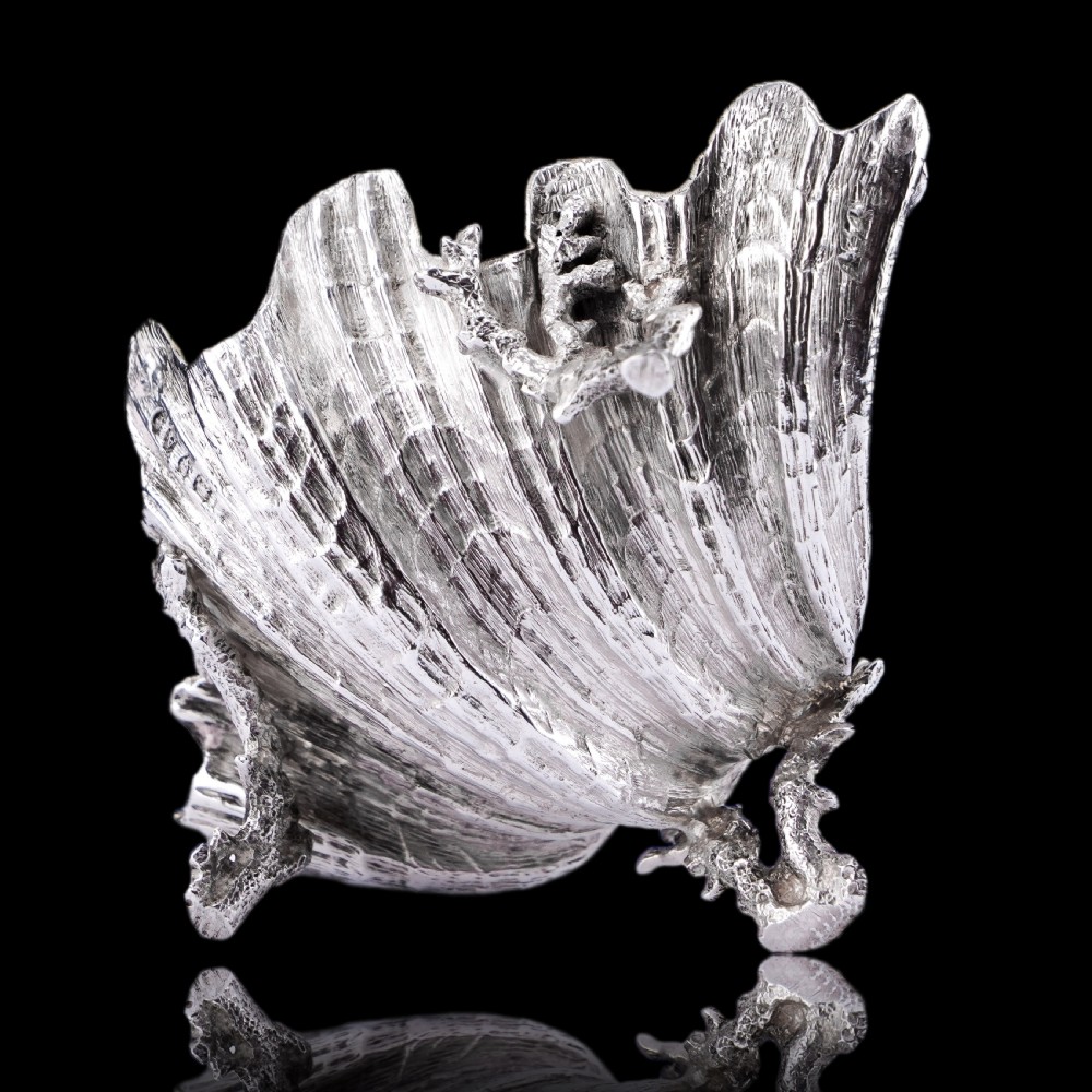  Antique Victorian Solid Silver Salt/Butter Dish, Cast Shell Giant Clam Design - Stephen Smith 1876 View XII