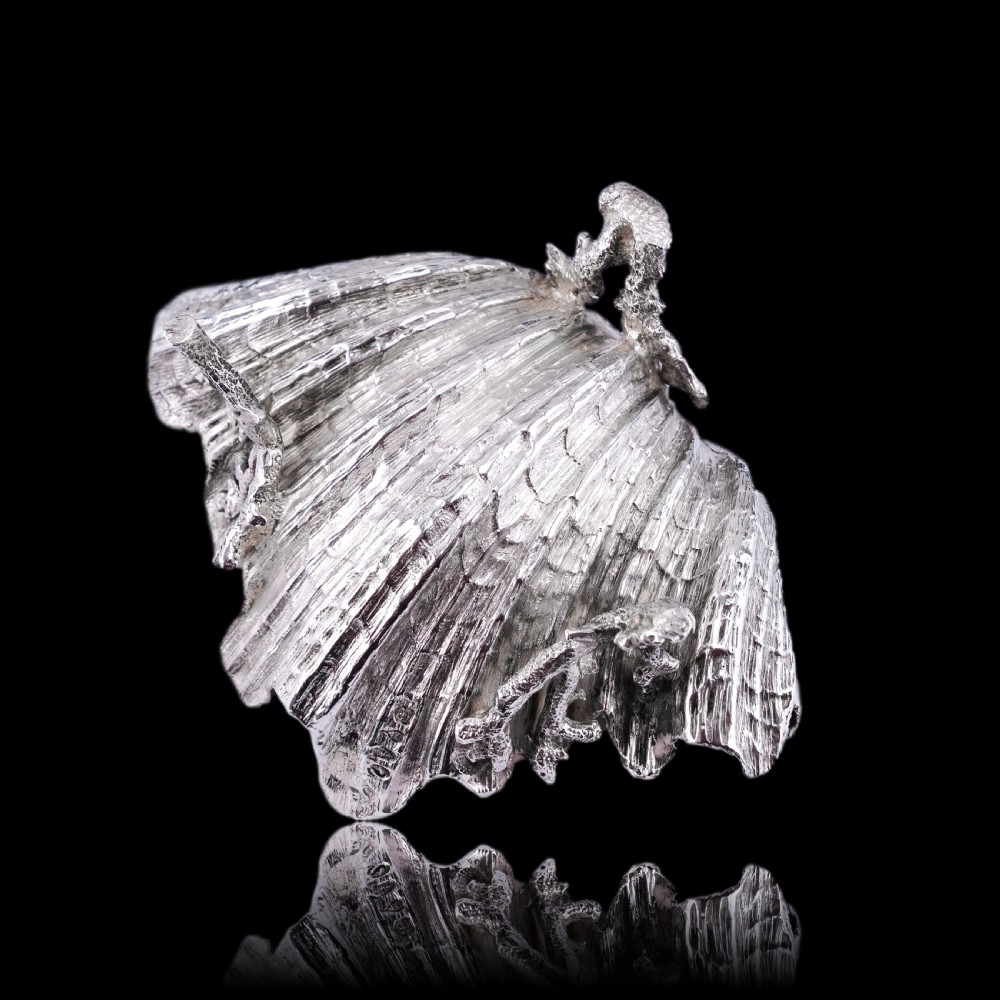  Antique Victorian Solid Silver Salt/Butter Dish, Cast Shell Giant Clam Design - Stephen Smith 1876 View XIII