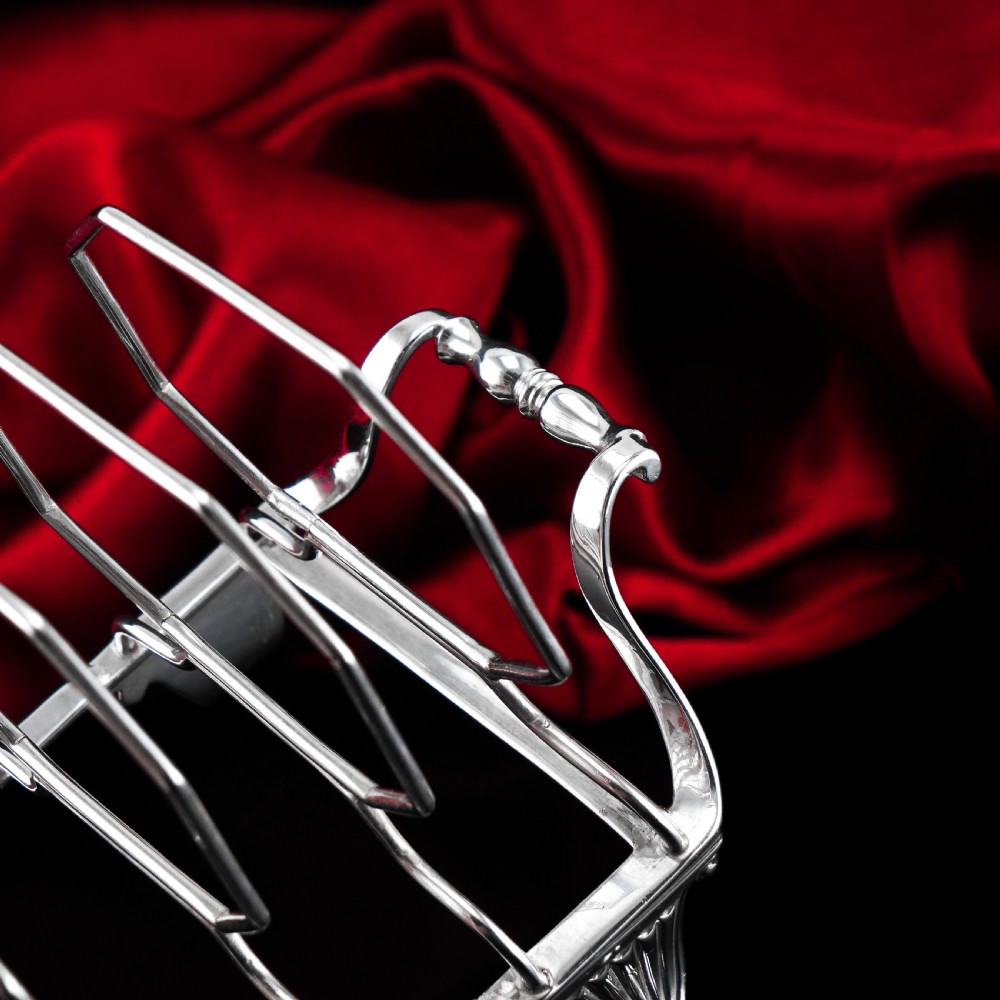 Antique Georgian Solid Silver Toast Rack in Neoclassical Design - Rebecca Emes & Edward Barnard 1809 View IX