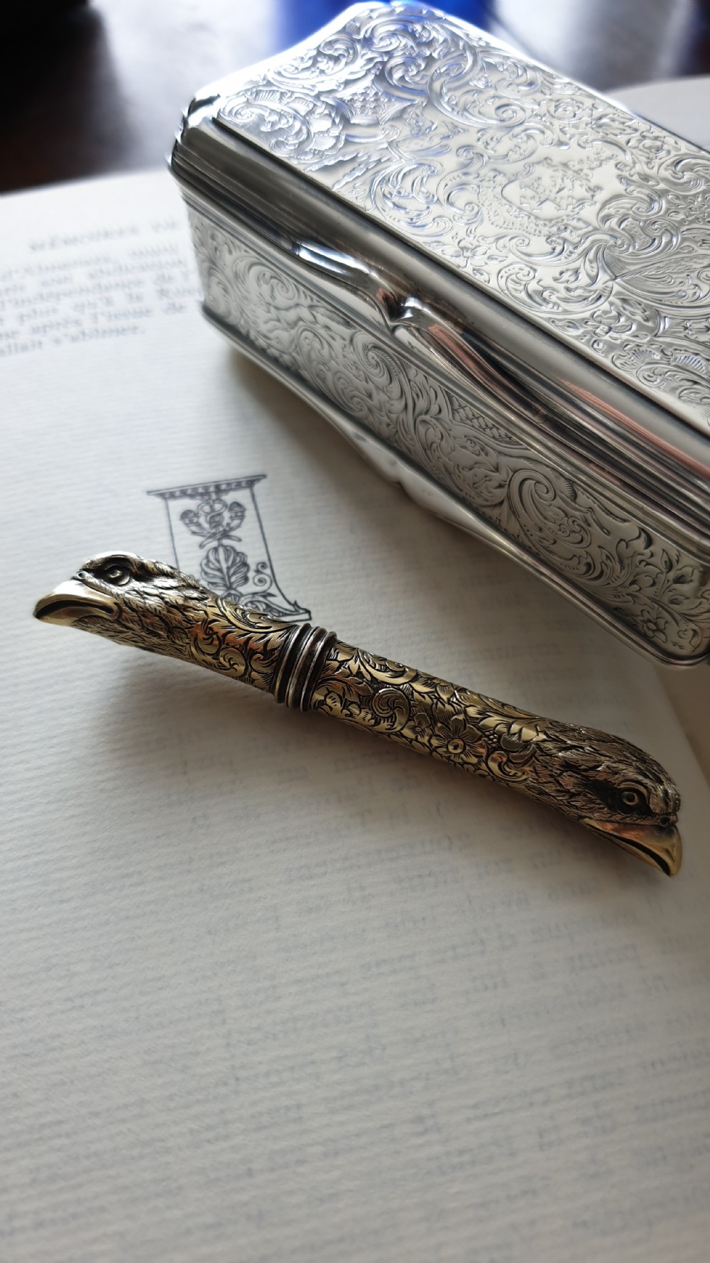 Antique Solid Silver Gilt Eagle's Head Etui Needle Case - 19th c. View XVII