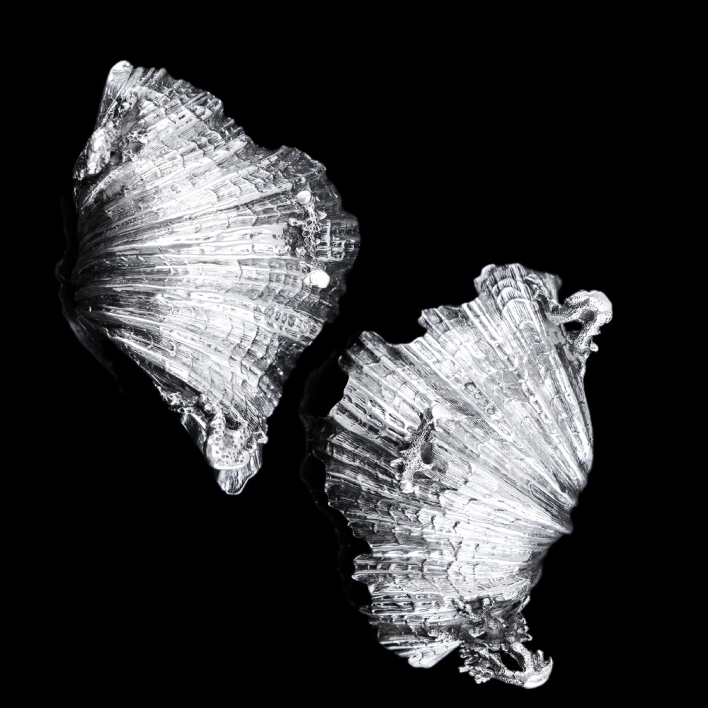 Antique Victorian Solid Silver Salt/Butter Dish Pair, Cast Shell Giant Clam Design - Stephen Smith 1866 View VIII