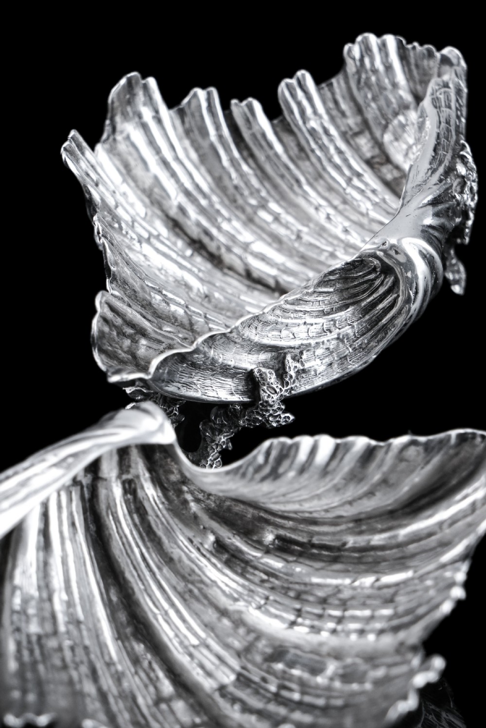 Antique Victorian Solid Silver Salt/Butter Dish Pair, Cast Shell Giant Clam Design - Stephen Smith 1866 View XX
