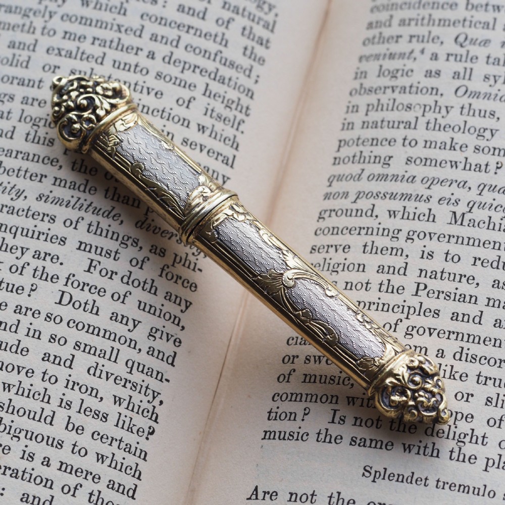 Antique French Silver Etui Parcel Gilt Fine Engravings & Engine Turning - 19th C. View III