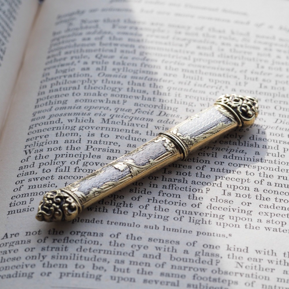 Antique French Silver Etui Parcel Gilt Fine Engravings & Engine Turning - 19th C. View IV