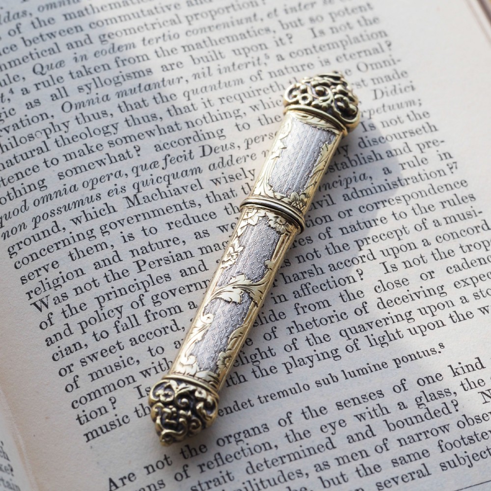 Antique French Silver Etui Parcel Gilt Fine Engravings & Engine Turning - 19th C. View V