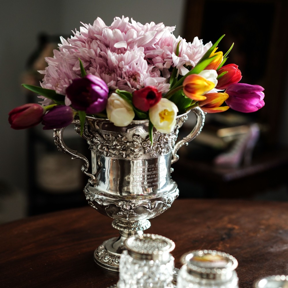 Antique Georgian Solid Silver Cup/Wine Cooler with Lid, Earl Interest - Barnards 1826 View IV