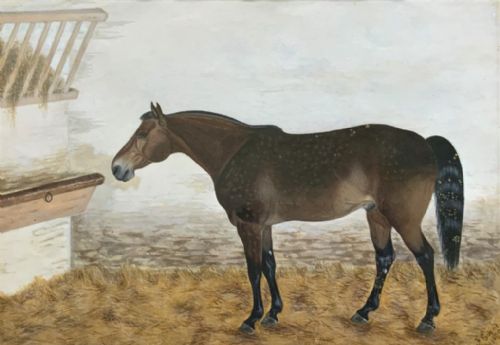 fig 1. Framed 19th-century watercolour painting depicting a brown dappled horse standing inside a stable beside a hay rack.