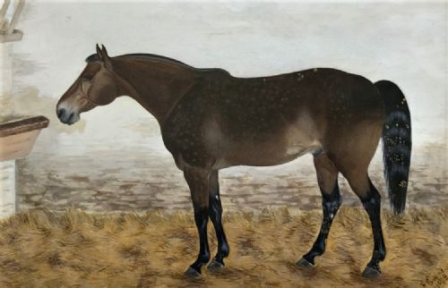 fig 2. Framed 19th-century watercolour painting depicting a brown dappled horse standing inside a stable beside a hay rack.