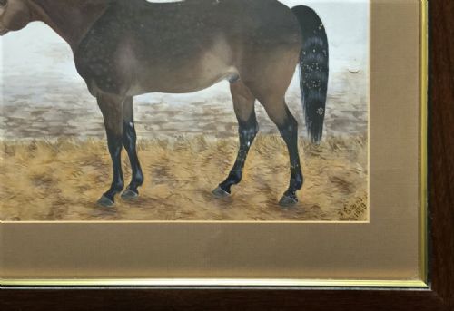fig 4. Framed 19th-century watercolour painting depicting a brown dappled horse standing inside a stable beside a hay rack.