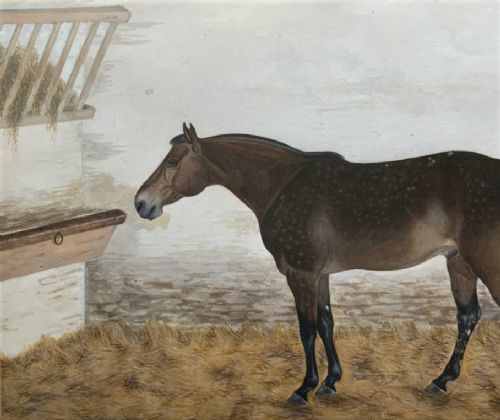 fig 5. Framed 19th-century watercolour painting depicting a brown dappled horse standing inside a stable beside a hay rack.