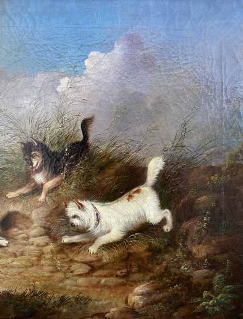 fig 5. Original George Armfield (1808-1893) Terriers Hunting Oil Painting