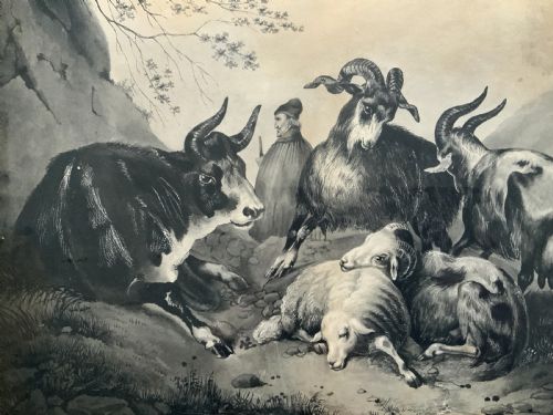 fig 5. An early 19th-century monochrome pastoral artwork framed in gold, depicting a shepherd with cattle, goats, and sheep in a rocky landscape.