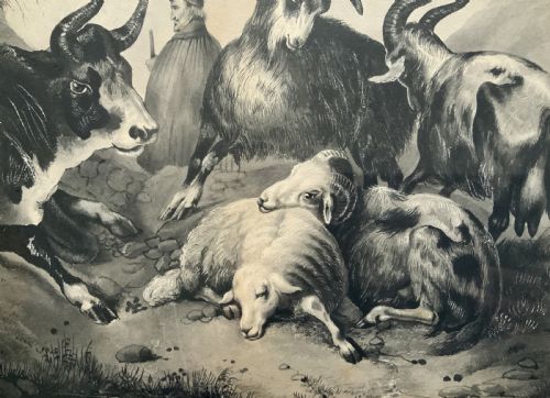 fig 6. An early 19th-century monochrome pastoral artwork framed in gold, depicting a shepherd with cattle, goats, and sheep in a rocky landscape.