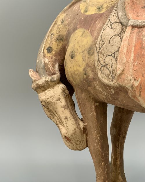 CHINESE TANG DYNASTY POTTERY HORSE LARGE MUSEUM QUALITY 8TH9THCENTURY AD - ADDITIONAL PHOTO 7