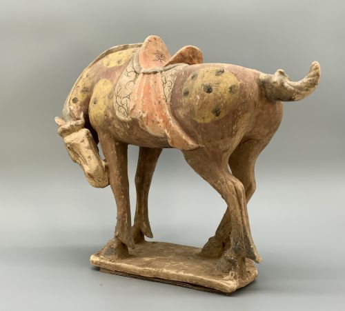 CHINESE TANG DYNASTY POTTERY HORSE LARGE MUSEUM QUALITY 8TH9THCENTURY AD - ADDITIONAL PHOTO 12