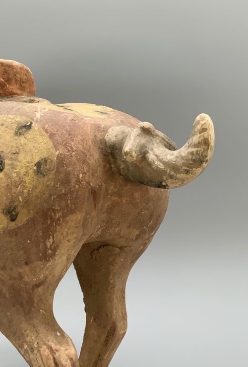 CHINESE TANG DYNASTY POTTERY HORSE LARGE MUSEUM QUALITY 8TH9THCENTURY AD - ADDITIONAL PHOTO 15