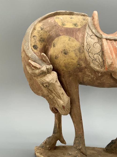 CHINESE TANG DYNASTY POTTERY HORSE LARGE MUSEUM QUALITY 8TH9THCENTURY AD - ADDITIONAL PHOTO 16
