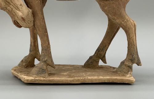 CHINESE TANG DYNASTY POTTERY HORSE LARGE MUSEUM QUALITY 8TH9THCENTURY AD - ADDITIONAL PHOTO 18