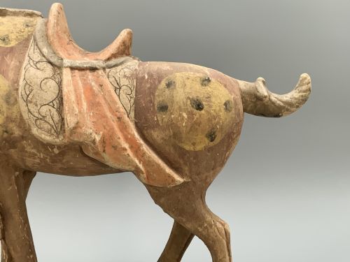 CHINESE TANG DYNASTY POTTERY HORSE LARGE MUSEUM QUALITY 8TH9THCENTURY AD - ADDITIONAL PHOTO 19