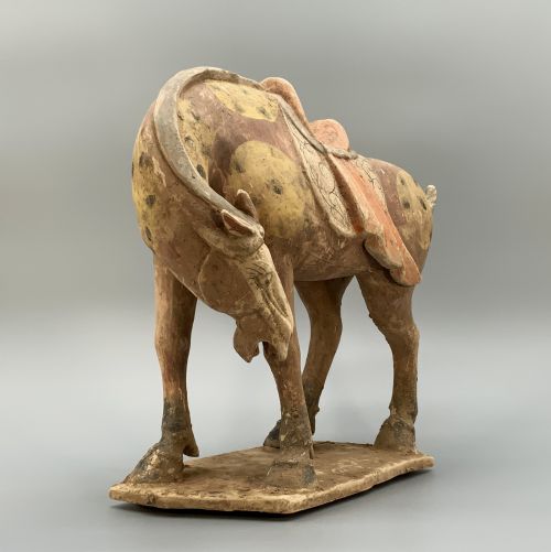 CHINESE TANG DYNASTY POTTERY HORSE LARGE MUSEUM QUALITY 8TH9THCENTURY AD - ADDITIONAL PHOTO 20