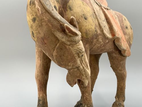 CHINESE TANG DYNASTY POTTERY HORSE LARGE MUSEUM QUALITY 8TH9THCENTURY AD - ADDITIONAL PHOTO 21