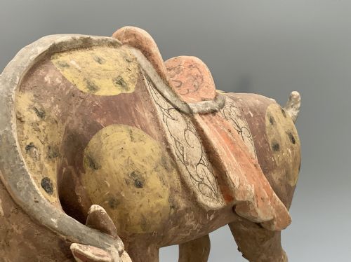 CHINESE TANG DYNASTY POTTERY HORSE LARGE MUSEUM QUALITY 8TH9THCENTURY AD - ADDITIONAL PHOTO 22