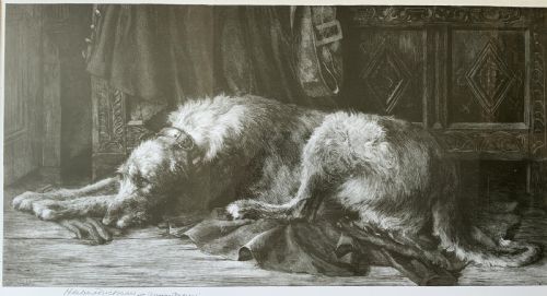 fig 2. Herbert Thomas Dicksee (1862-1942) Signed Artist Etching Hunting Hound