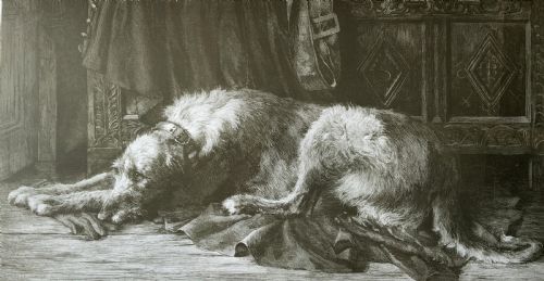 fig 3. Herbert Thomas Dicksee (1862-1942) Signed Artist Etching Hunting Hound