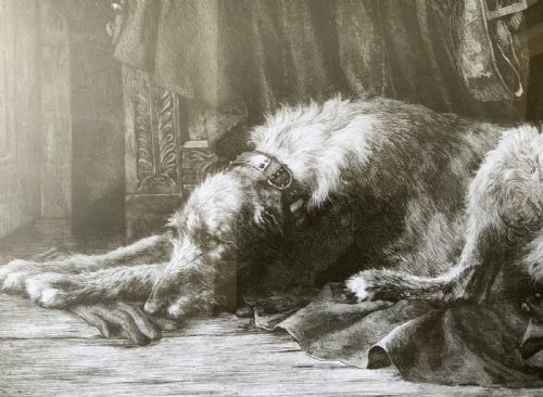 fig 4. Herbert Thomas Dicksee (1862-1942) Signed Artist Etching Hunting Hound
