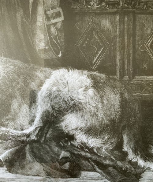 fig 6. Herbert Thomas Dicksee (1862-1942) Signed Artist Etching Hunting Hound