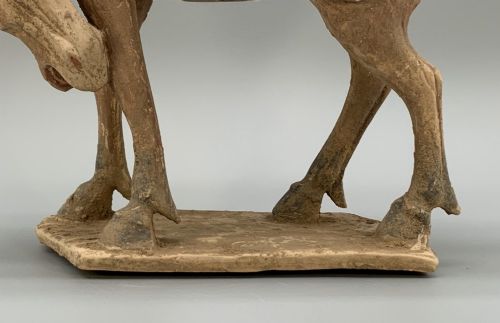 fig 10. A terracotta horse figurine featuring a dappled coat pattern, draped saddle, and a head lowered towards its front hoof on a rectangular plinth.