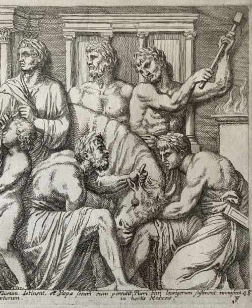 fig 5. A monochrome 17th-century classical etching depicting men and boys performing a ritual sacrifice of a bull in front of a Roman temple, complete with Latin text at the bottom.