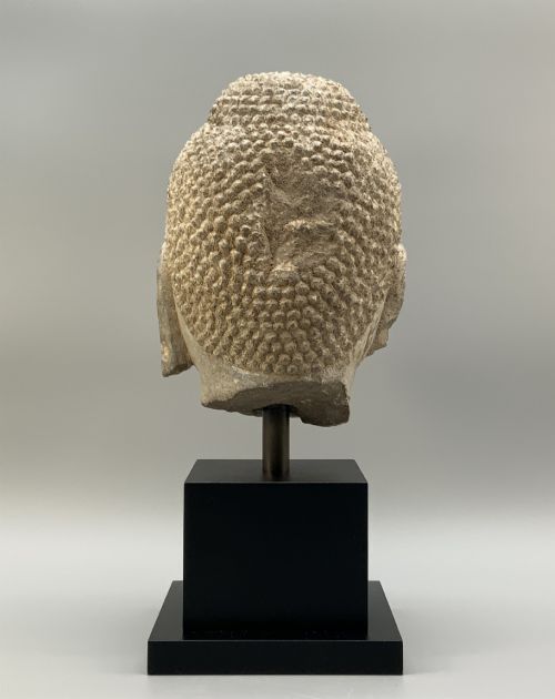 fig 5. A carved limestone Chinese Buddha head featuring downcast eyes, elongated earlobes, and coiled hair, mounted on a black square stand.