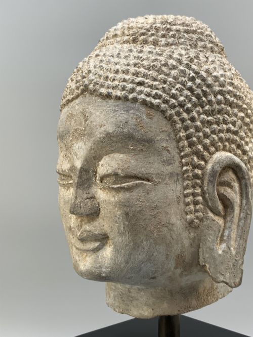 fig 8. A carved limestone Chinese Buddha head featuring downcast eyes, elongated earlobes, and coiled hair, mounted on a black square stand.