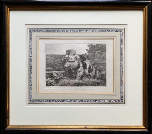 Samuel Howitt (1756–1822) Original Antique Etching – Spotted Pig No. 49